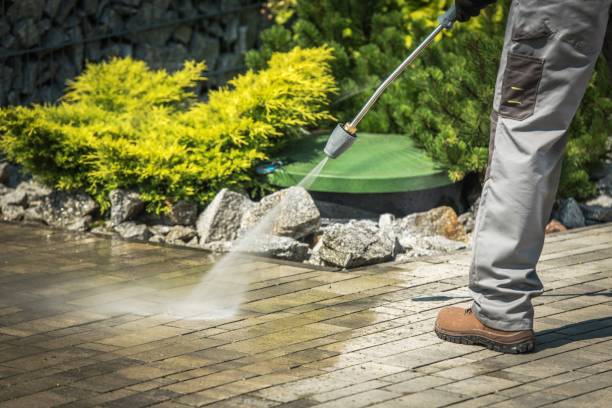 Best Building Exterior Washing  in Occidental, CA
