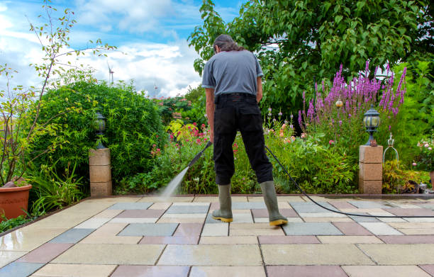 Best Restaurant Pressure Washing  in Occidental, CA